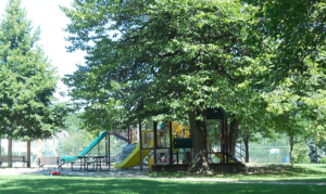 toronto, ontario, kingsway neighbourhood